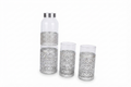 Bottle Set with 2 Glasses